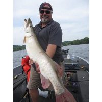 A big Musky caught while trolling mid-day. We caught three over 48