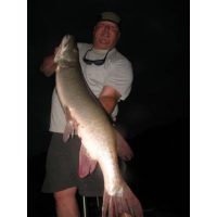 Giant Metro Musky. It was his first one! He caught it on a home-made creeper.