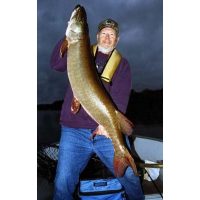 Master Taxidermist Scott Miller holds his Largest Musky to date. It was 49