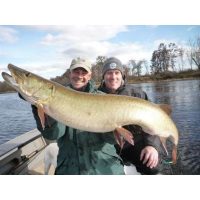 Josh holding a high-forty inch Musky he caught with Larry on