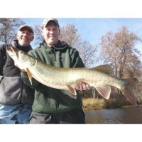 Josh holding the 100th Musky he and Larry Dahlberg caught while fishing together in 2009