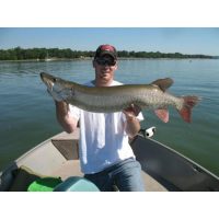 Musky caught while trolling