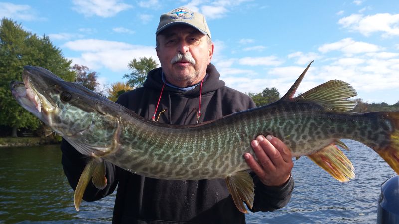 Mighty Musky client with a large fish