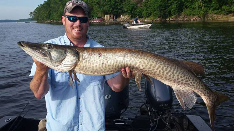 Big fish caught on the lake